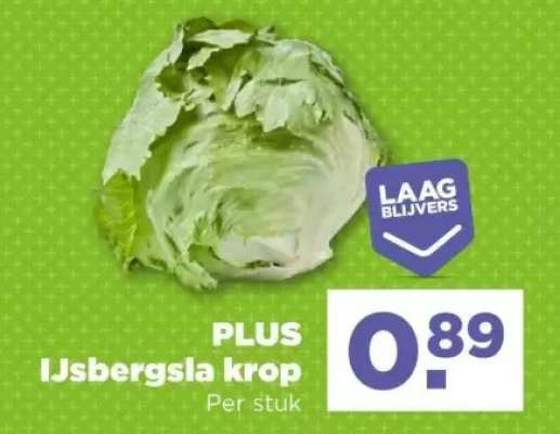 PLUS IJsbergsla krop