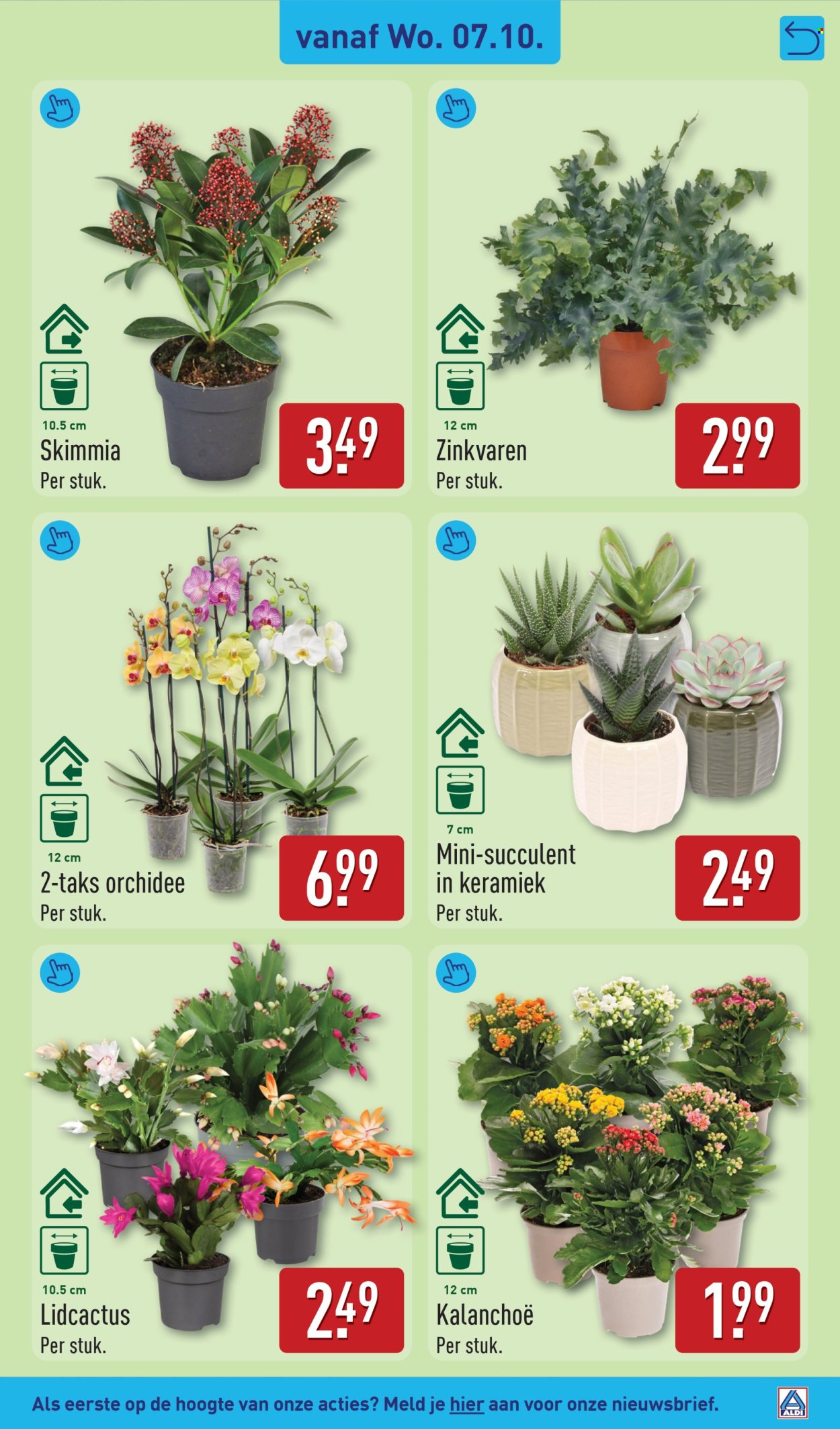 Aldi-aanbieding - 5-10-2026 - 11-10-2026. Pagina 39
