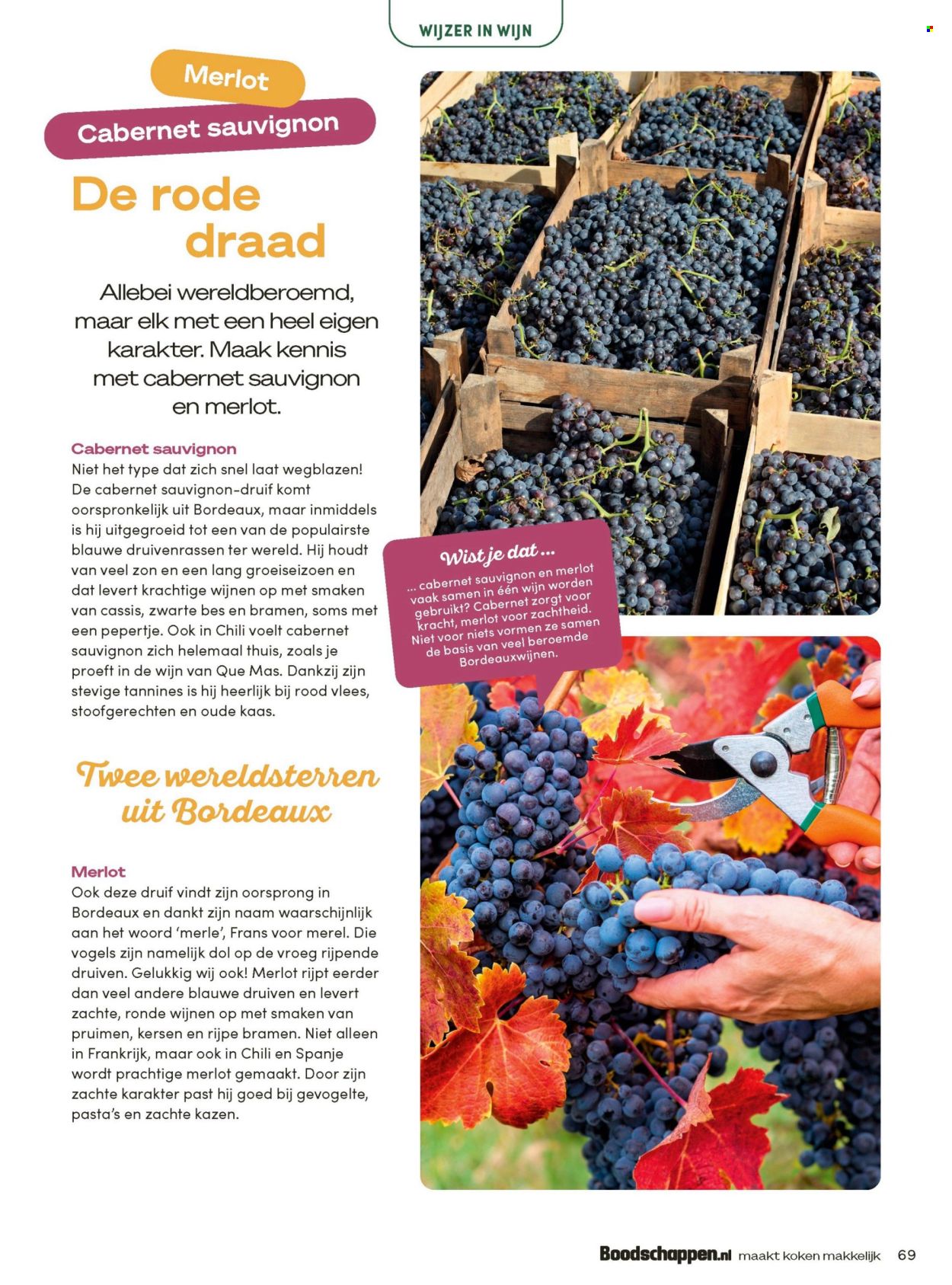 Boni-aanbieding - 1-10-2026 - 31-10-2026. Pagina 69