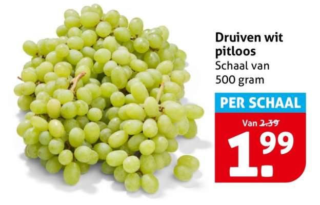 DRUIVEN WIT PITLOOS