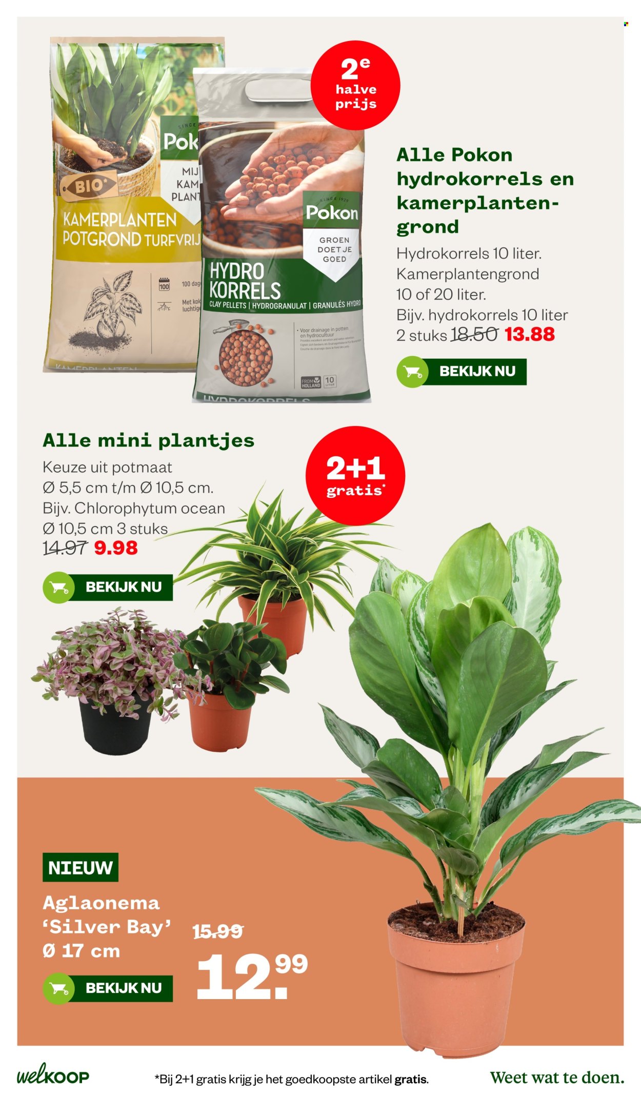 Welkoop-aanbieding - 5-10-2026 - 18-10-2026. Pagina 27