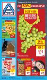 leaflet