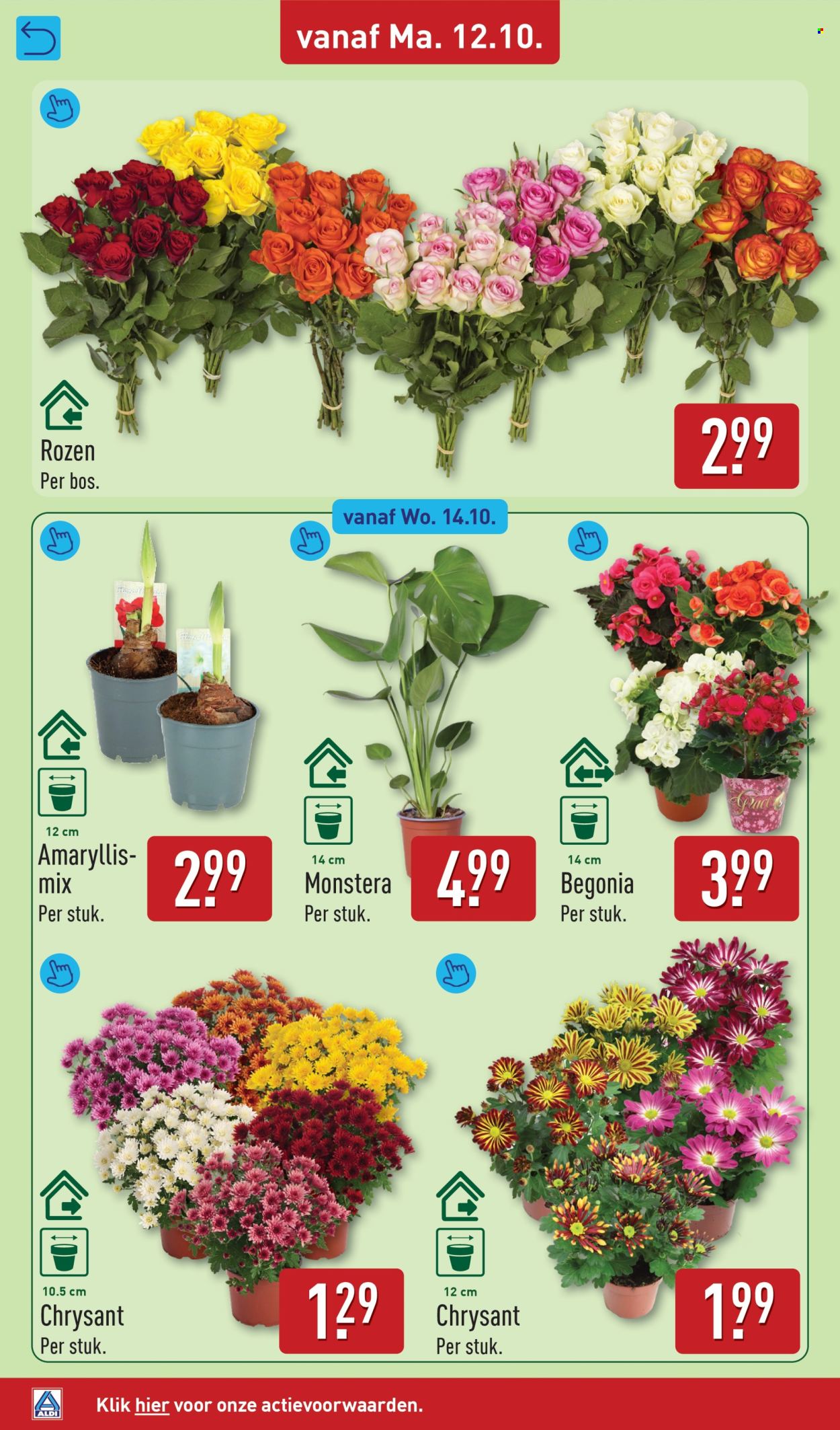Aldi-aanbieding - 12-10-2026 - 18-10-2026. Pagina 36