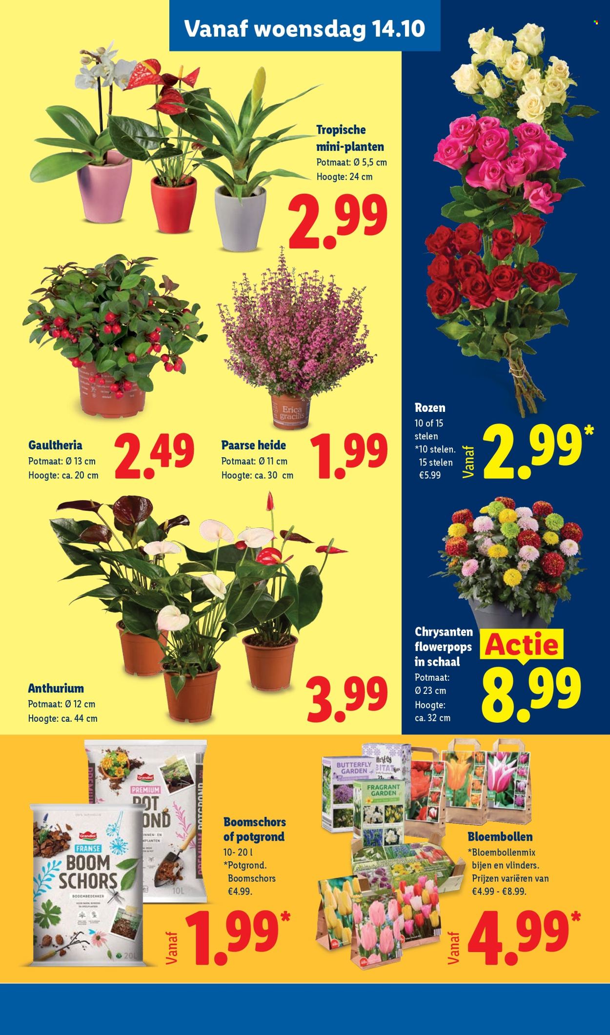 Lidl-aanbieding - 12-10-2026 - 18-10-2026. Pagina 25
