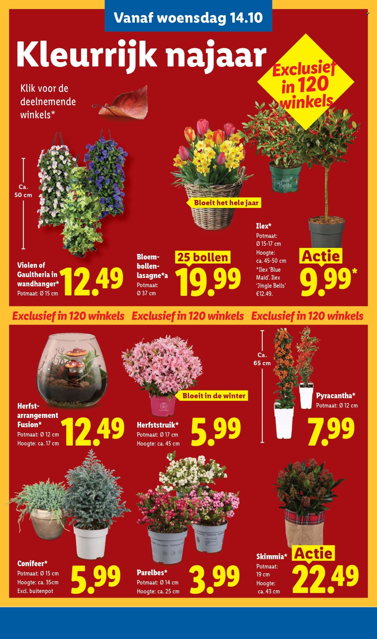 Lidl-aanbieding - 12-10-2026 - 18-10-2026. Pagina 26