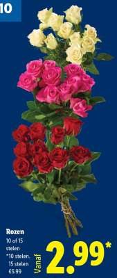 Rozen