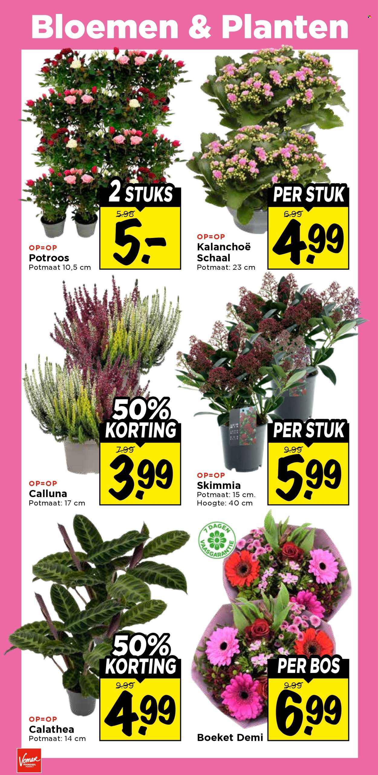 Vomar-aanbieding - 11-10-2026 - 17-10-2026. Pagina 32