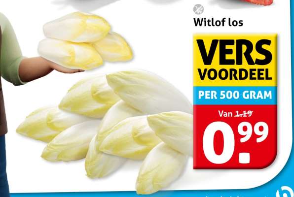 Witlof los