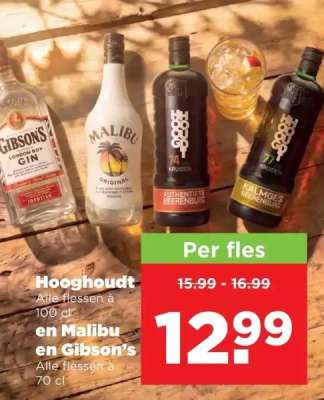 Hooghoudt en Malibu en Gibson's