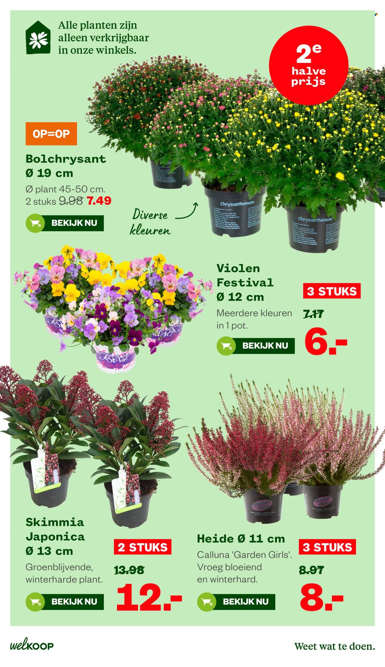 Welkoop-aanbieding - 5-10-2026 - 18-10-2026. Pagina 7