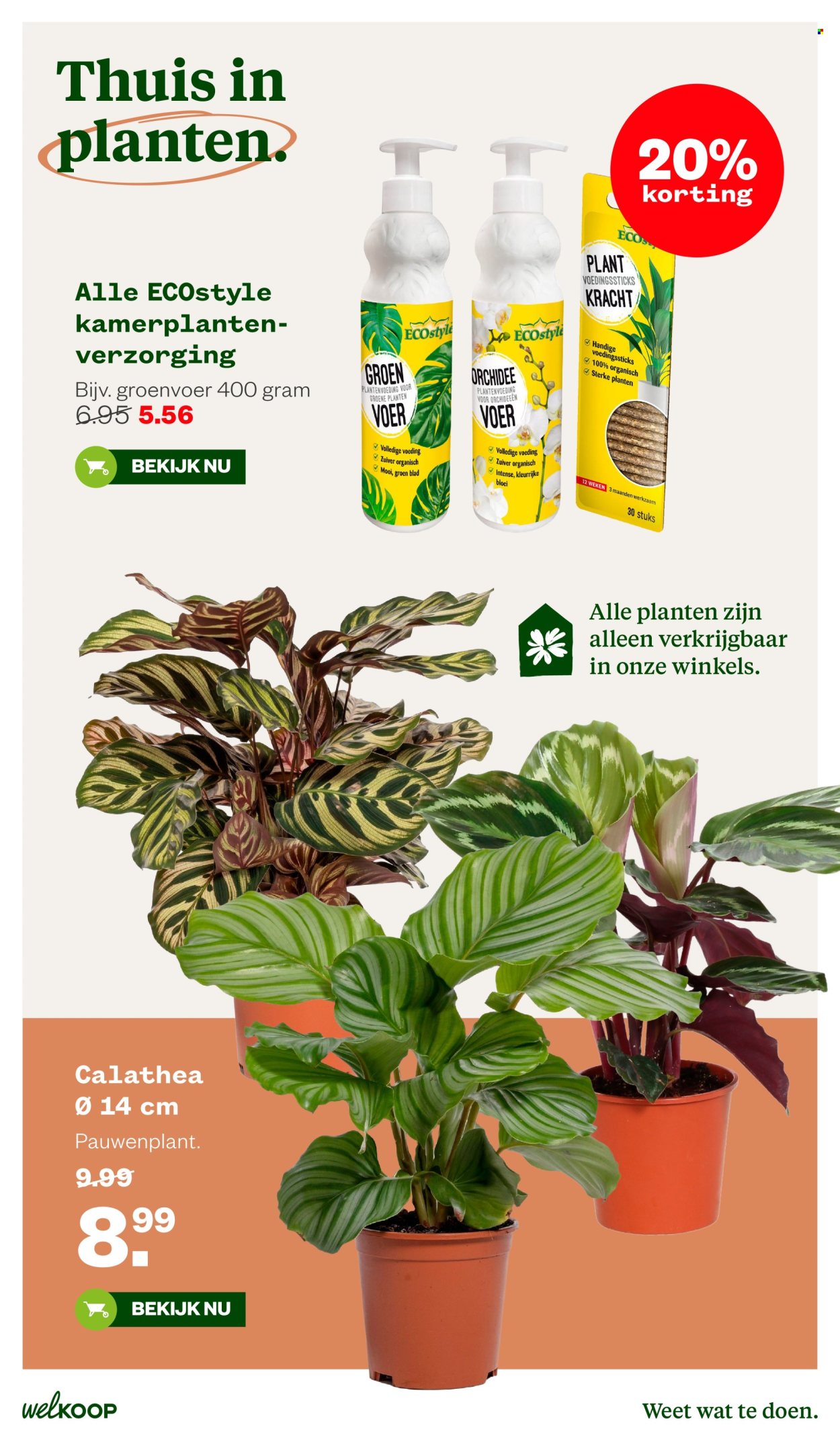 Welkoop-aanbieding - 5-10-2026 - 18-10-2026. Pagina 17