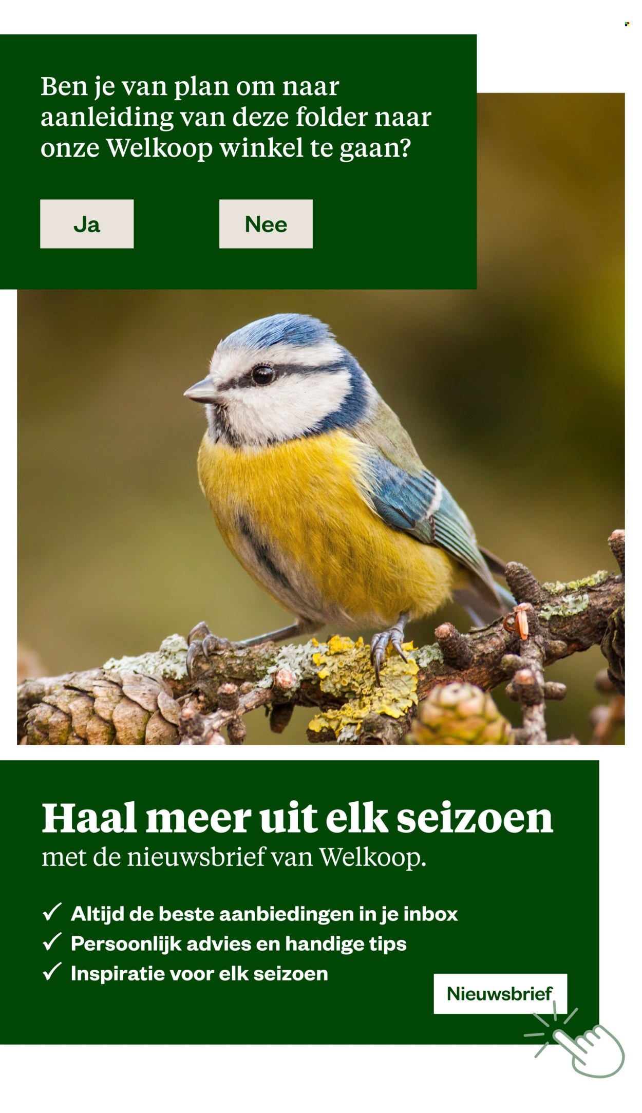 Welkoop-aanbieding - 5-10-2026 - 18-10-2026. Pagina 42
