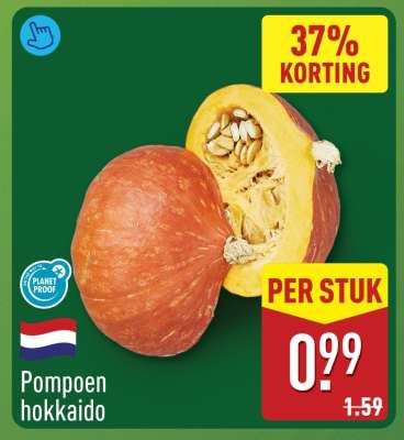 Pompoen Hokkaido