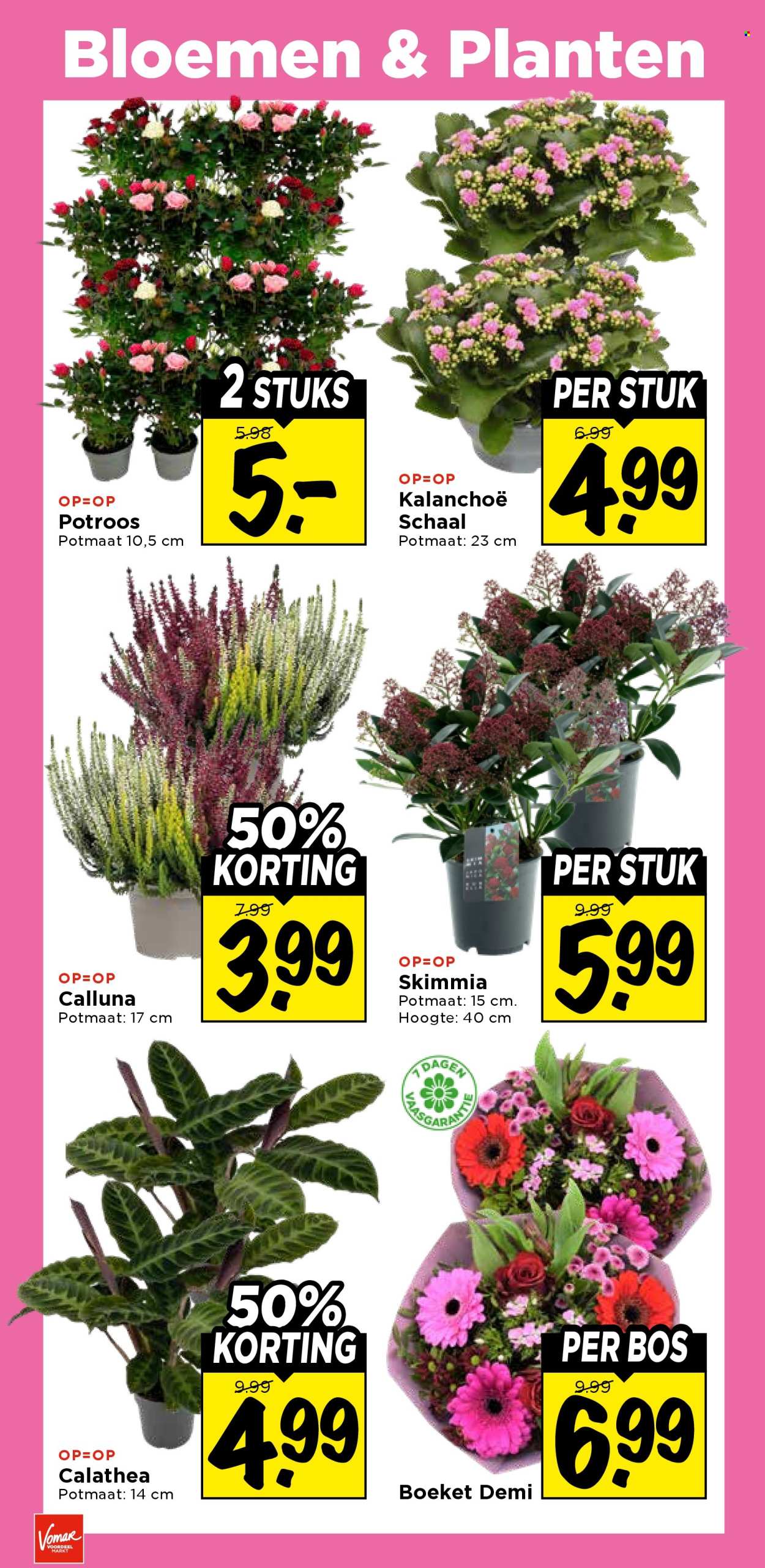 Vomar-aanbieding - 15-10-2026 - 17-10-2026. Pagina 37