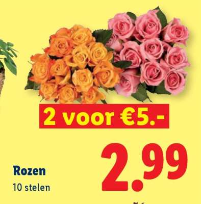 Rozen