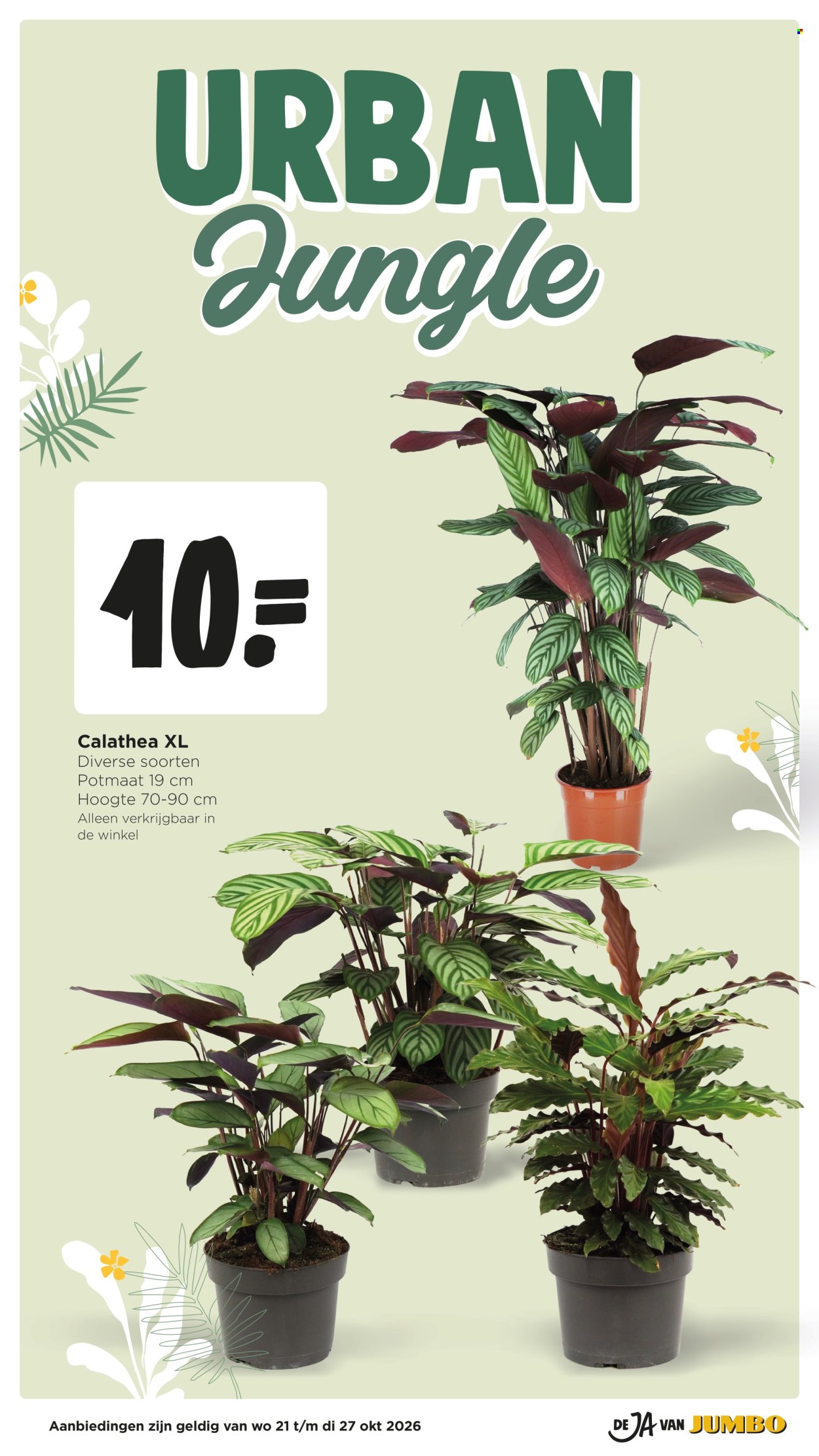 Jumbo-aanbieding - 21-10-2026 - 27-10-2026. Pagina 36