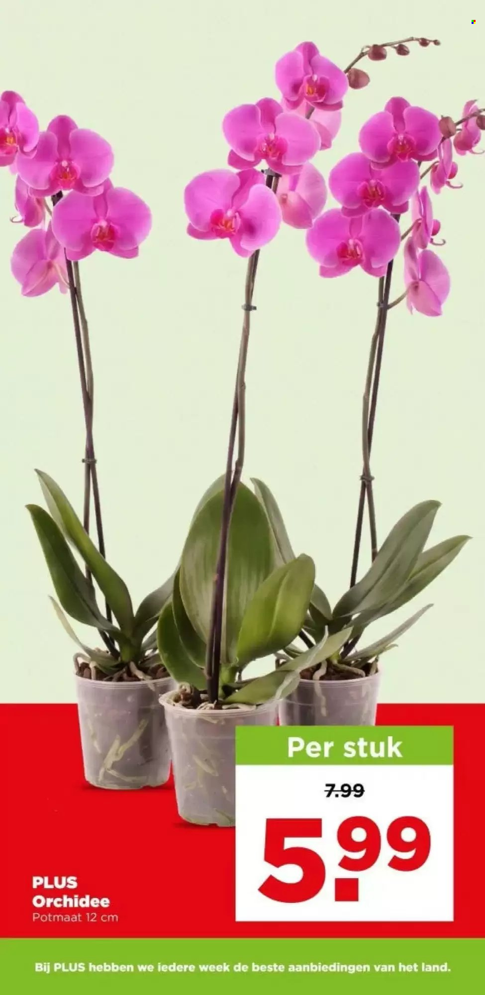 Plus-aanbieding - 21-10-2026 - 27-10-2026. Pagina 38