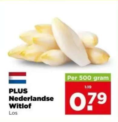 PLUS Nederlandse Witlof
