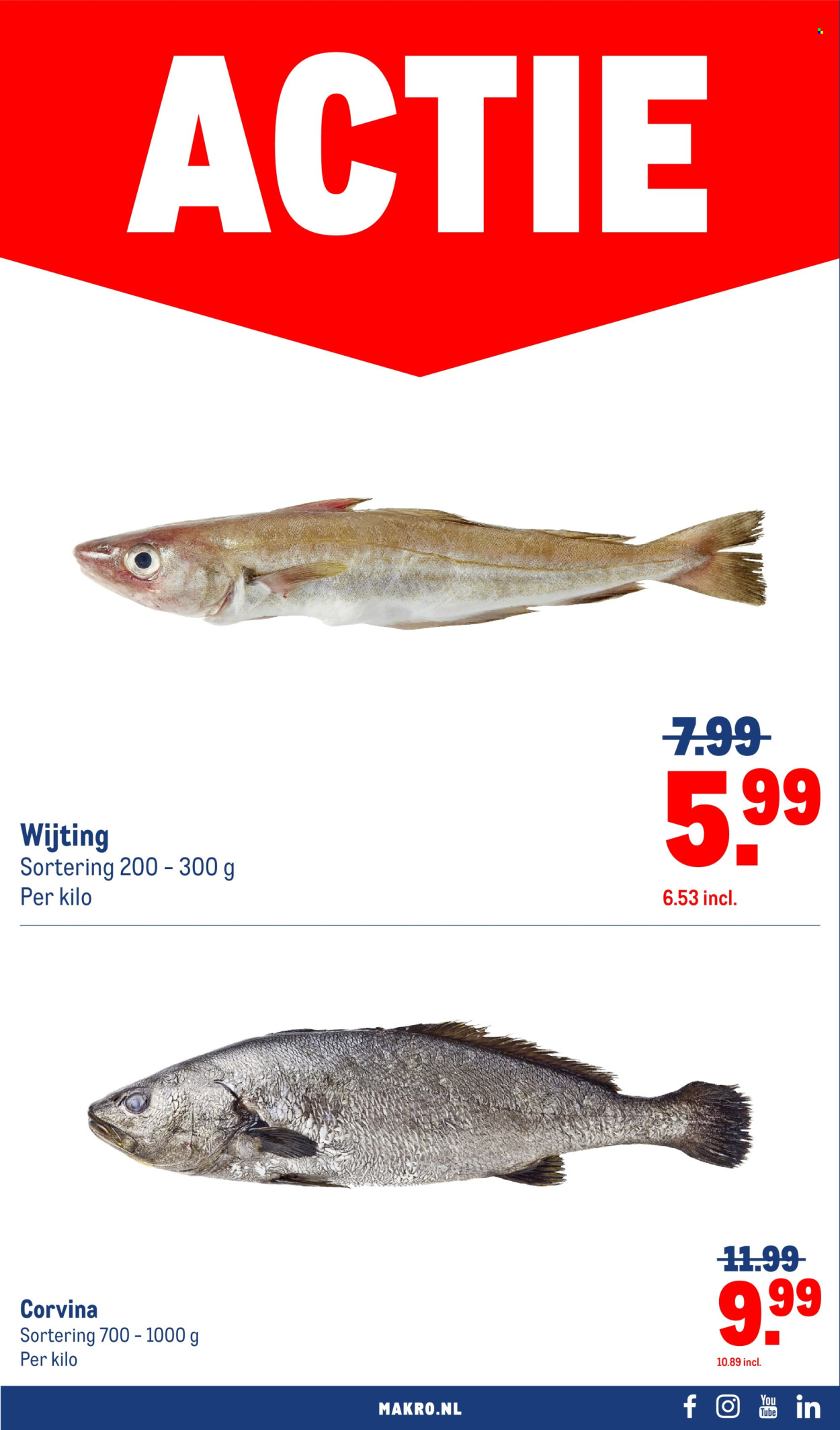 Makro-aanbieding - 21-10-2026 - 1-11-2026. Pagina 32