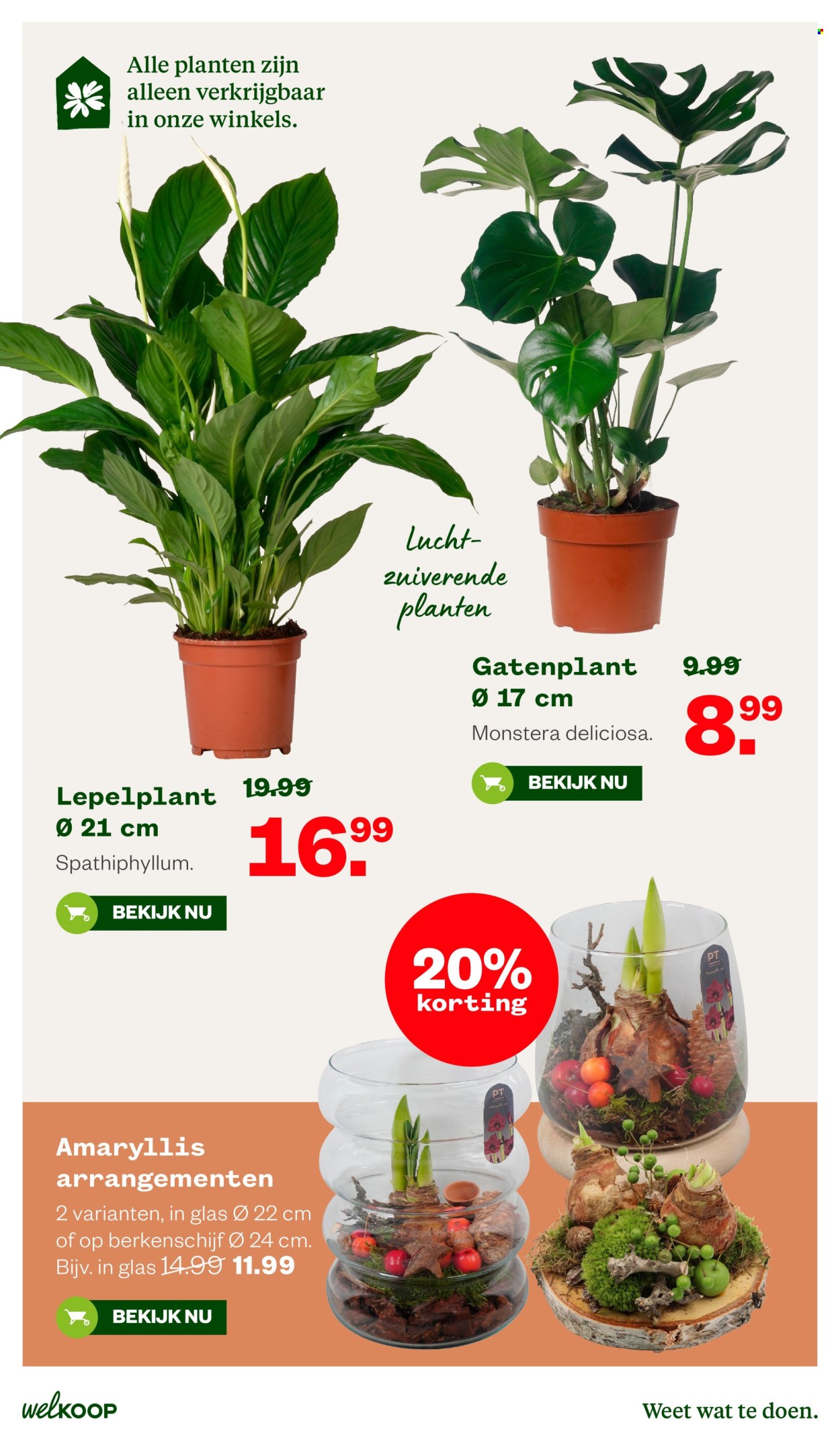 Welkoop-aanbieding - 19-10-2026 - 8-11-2026. Pagina 7
