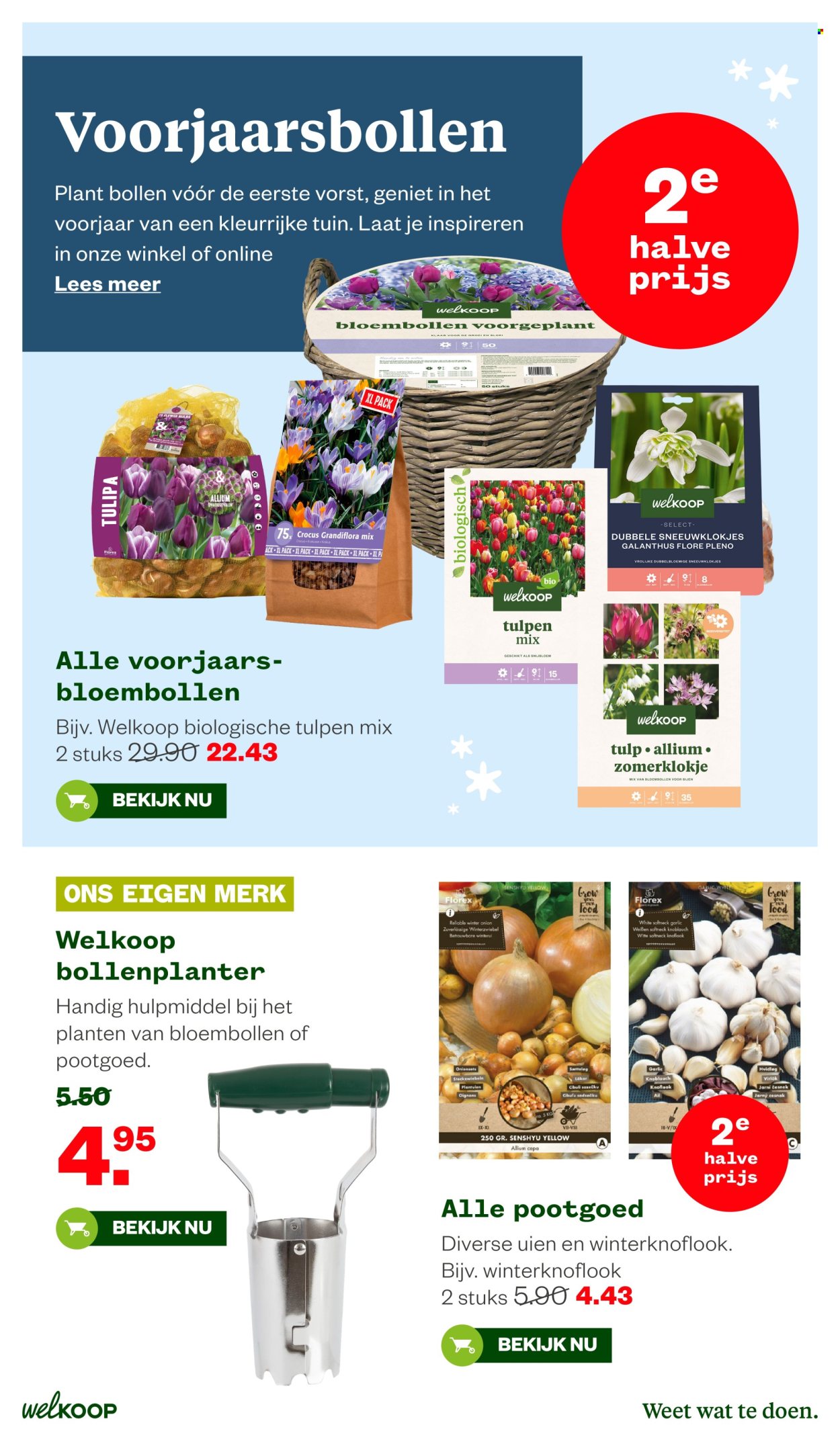 Welkoop-aanbieding - 19-10-2026 - 8-11-2026. Pagina 11