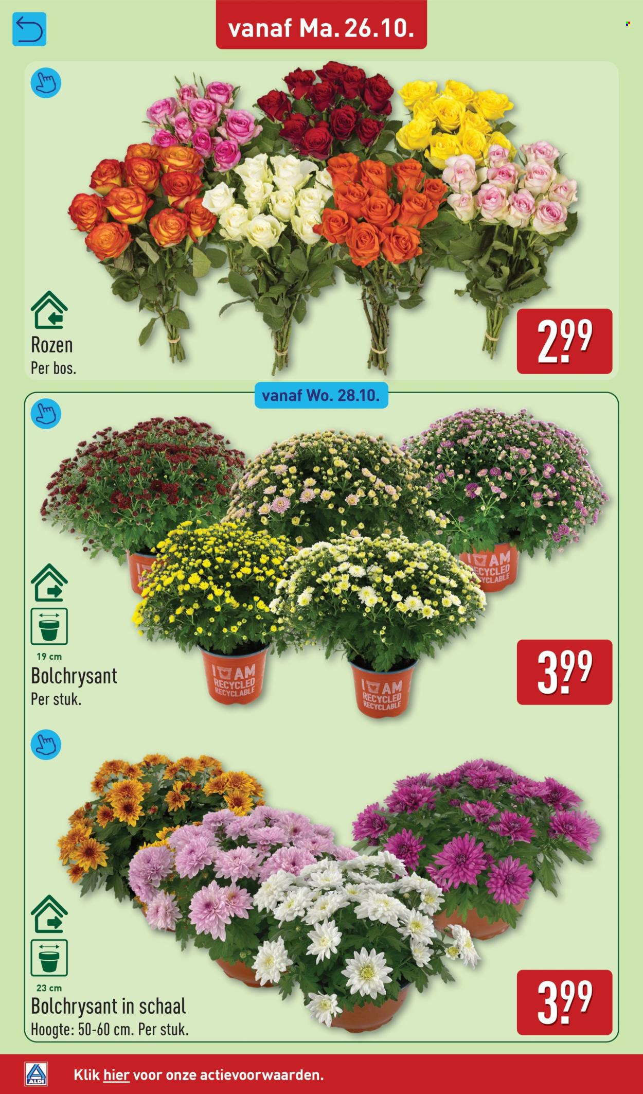 Aldi-aanbieding - 26-10-2026 - 1-11-2026. Pagina 36