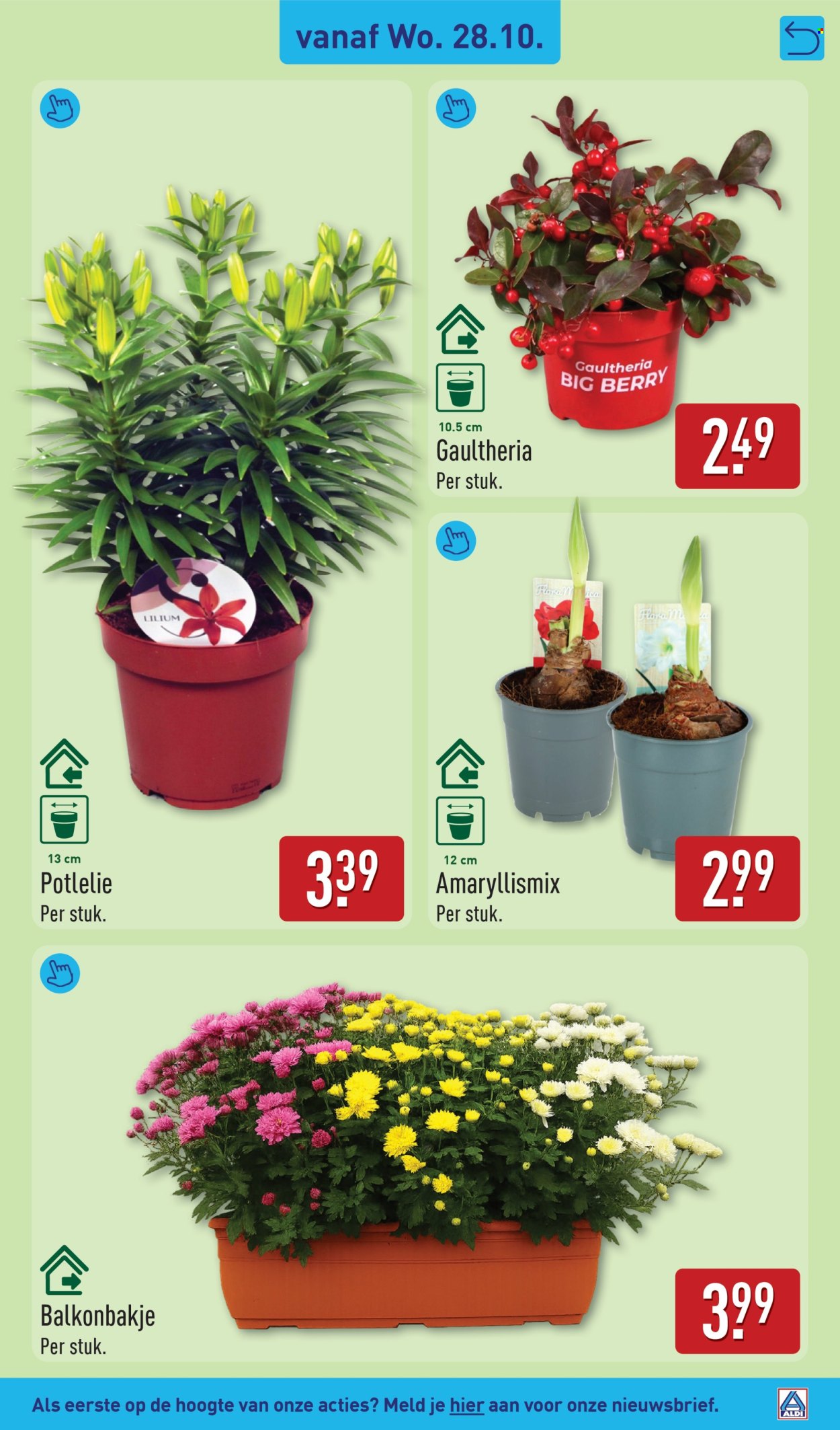 Aldi-aanbieding - 26-10-2026 - 1-11-2026. Pagina 37