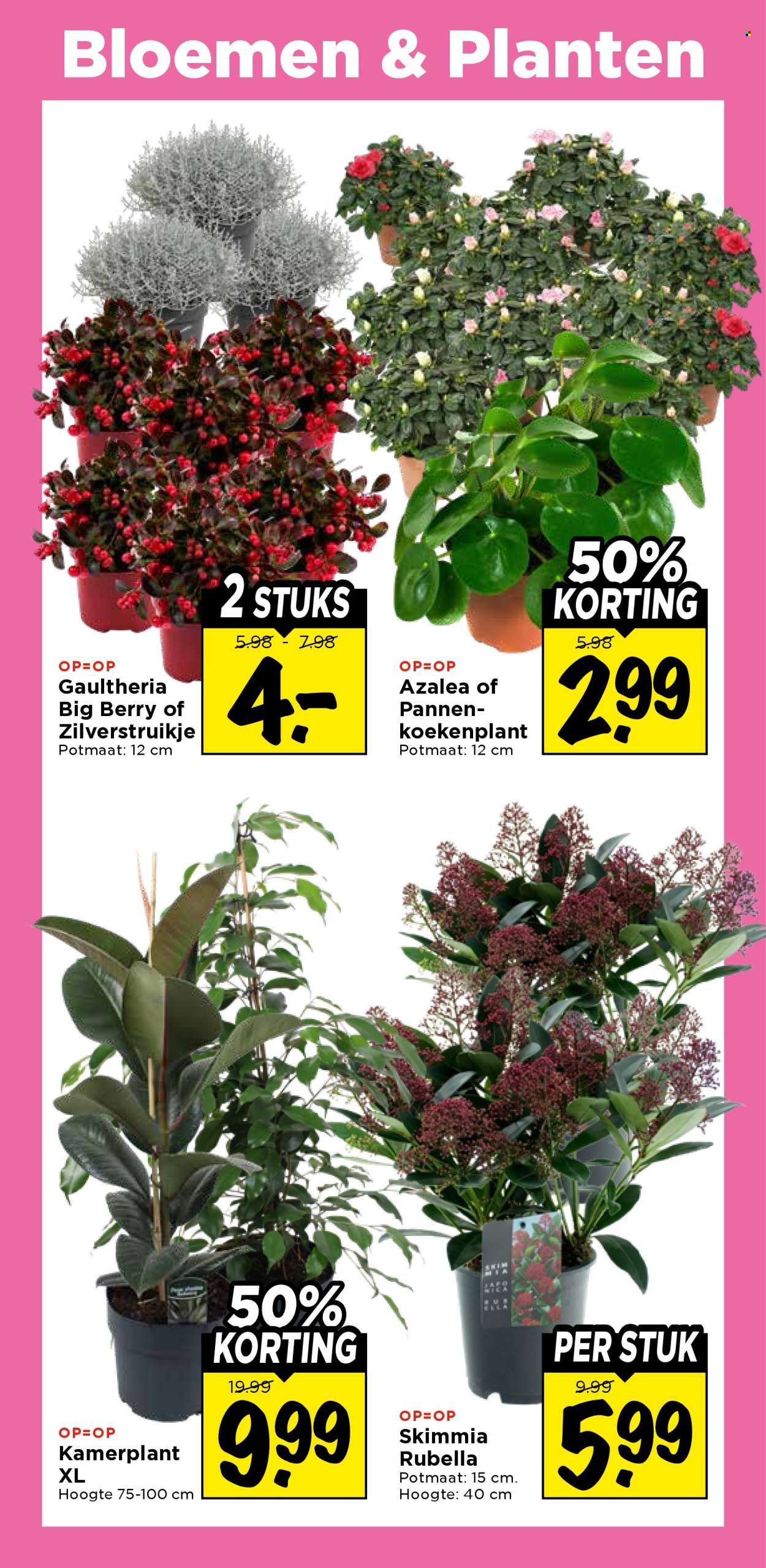 Vomar-aanbieding - 25-10-2026 - 31-10-2026. Pagina 30