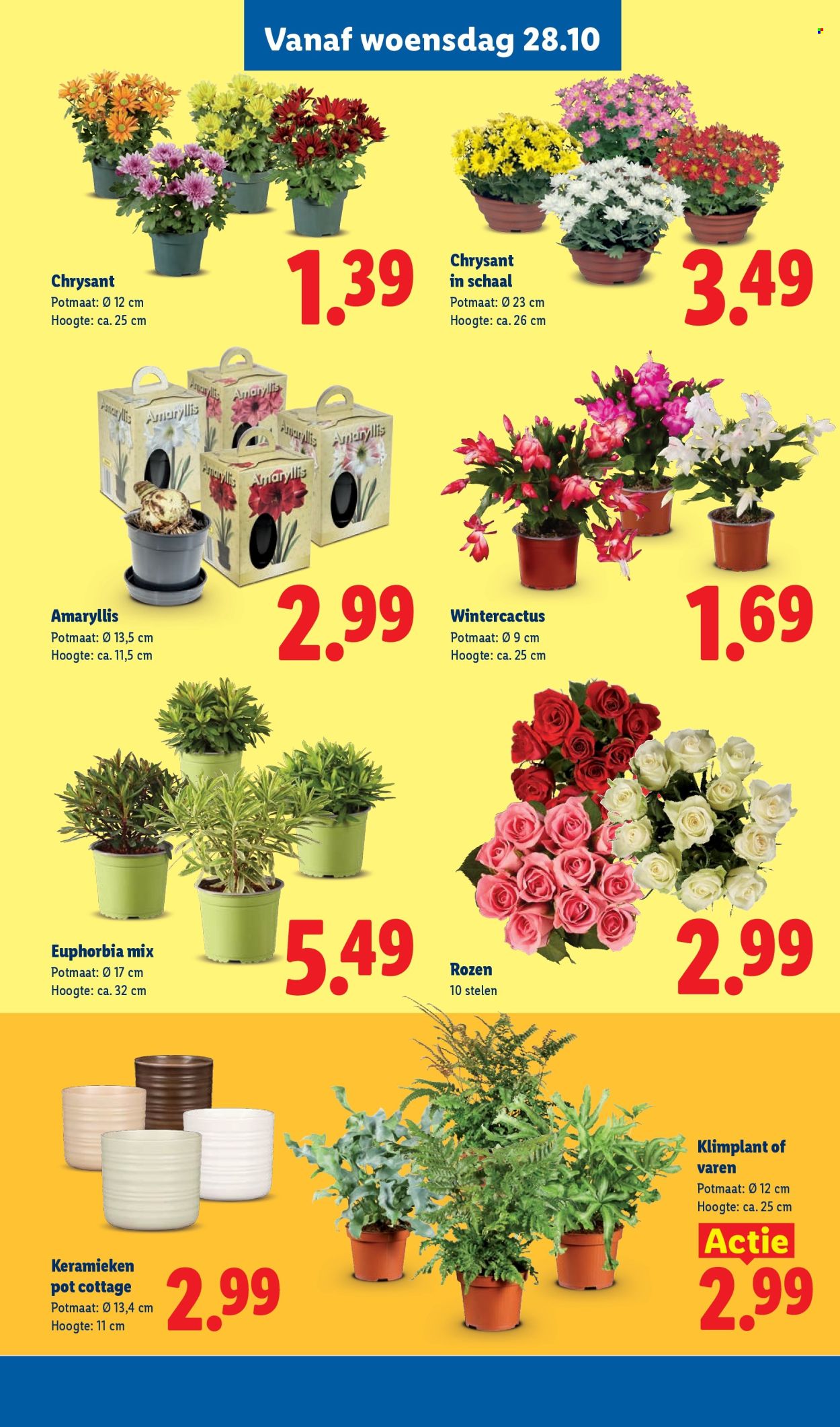 Lidl-aanbieding - 26-10-2026 - 1-11-2026. Pagina 15
