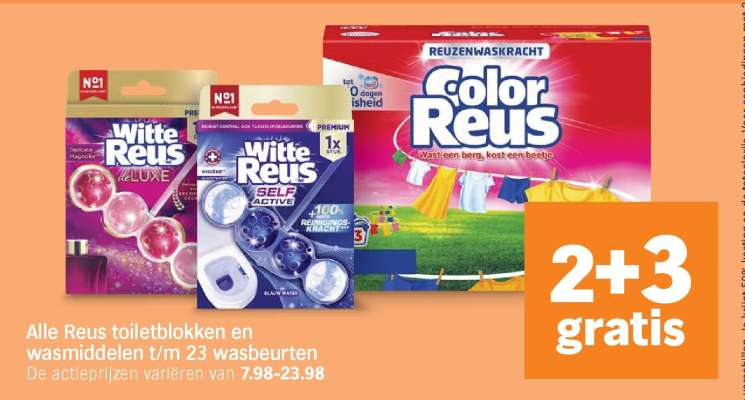 Reus toiletblokken en wasmiddelen