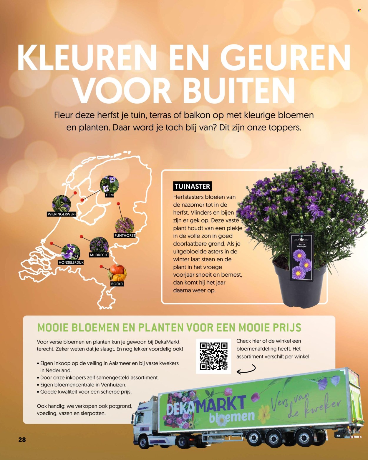 DekaMarkt-aanbieding. Pagina 28