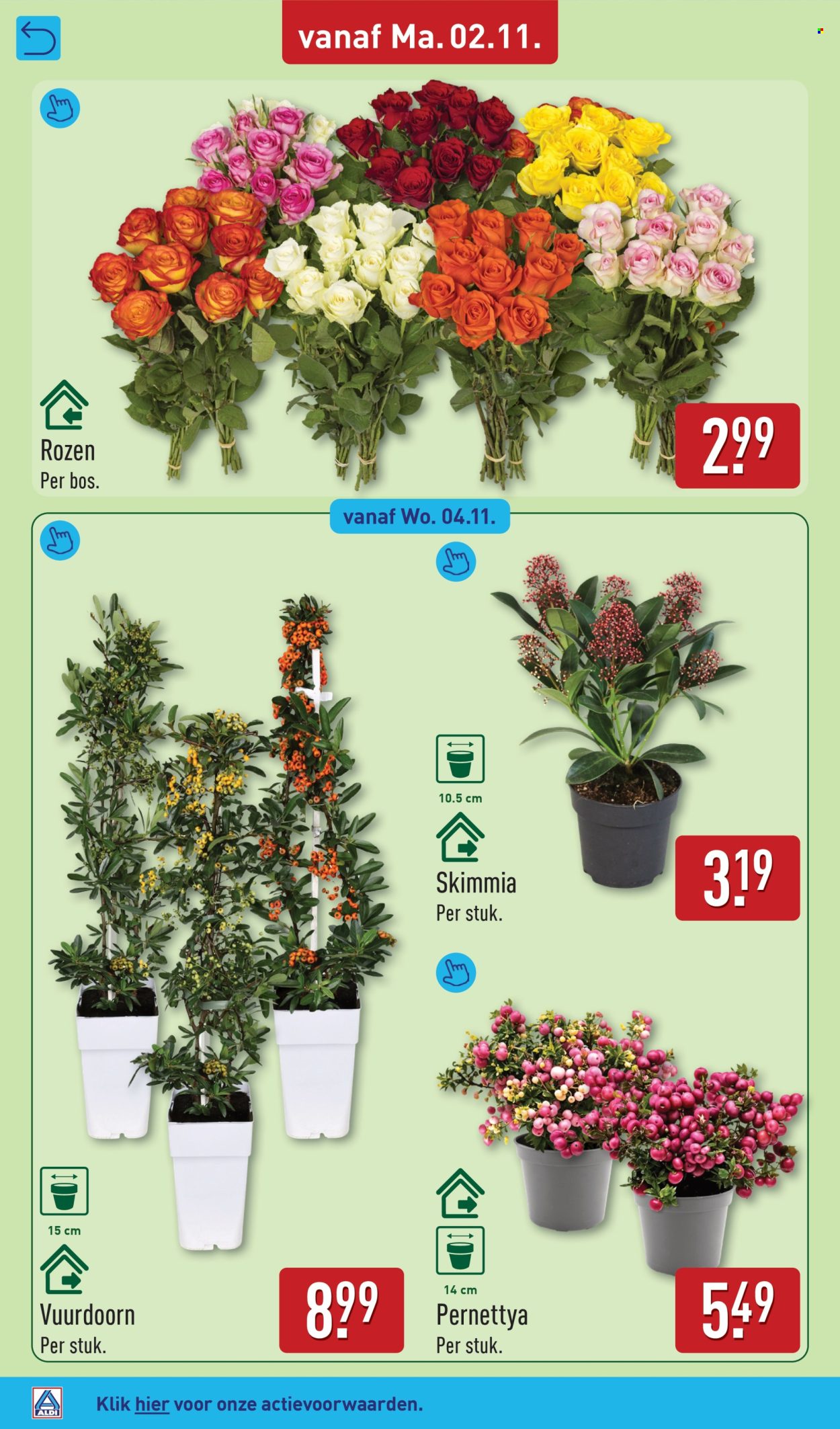 Aldi-aanbieding - 2-11-2026 - 8-11-2026. Pagina 32